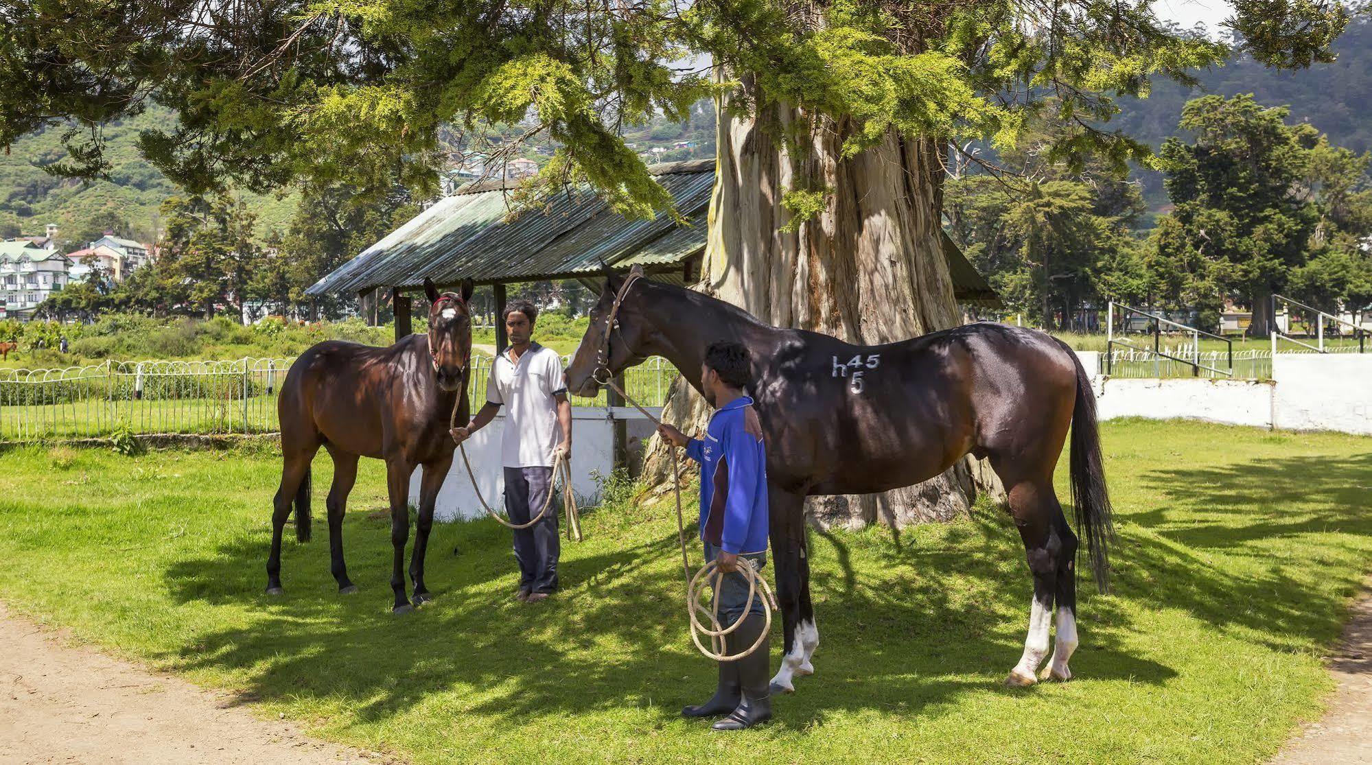 Hill Rise Luxury Villa & Stables By Edwards Collection Nuwara Eliya Exteriér fotografie
